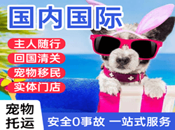 济南机场快递国际宠物托运 【国